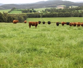 Rural / Farming commercial property sold at 110 Forest Road Labertouche VIC 3816