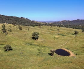Rural / Farming commercial property sold at 1885 Triamble Road Mudgee NSW 2850