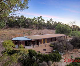 Rural / Farming commercial property sold at 532 Para Wirra Road Barossa Goldfields SA 5351