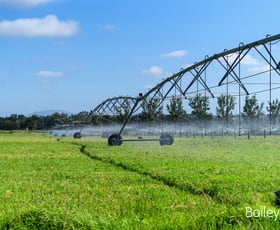 Rural / Farming commercial property sold at 96 Haggartys Lane Singleton NSW 2330