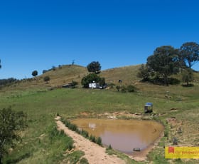 Rural / Farming commercial property sold at 756 Upper Botobolar Road Mudgee NSW 2850