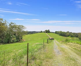Rural / Farming commercial property sold at 194 Old Palmwoods Road Palmwoods QLD 4555