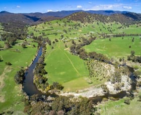 Rural / Farming commercial property sold at Tumut NSW 2720
