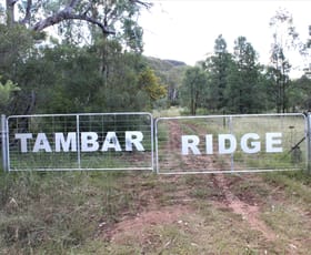 Rural / Farming commercial property sold at 100 High Tambar Springs NSW 2381