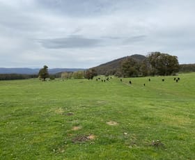 Rural / Farming commercial property sold at 1456 Nottingham Road Wee Jasper NSW 2582