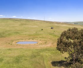 Rural / Farming commercial property sold at 'Horse Paddock', Betterson Road Hill River SA 5453