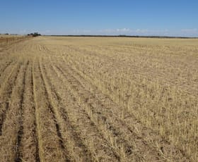 Rural / Farming commercial property sold at Lots Thompson & Davies Road Kondinin WA 6367