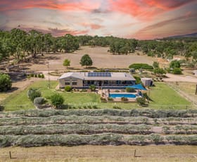 Rural / Farming commercial property sold at 86 Hubbe Road Clare SA 5453
