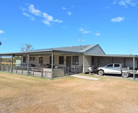 Rural / Farming commercial property sold at 619 Wickhams Rd Karara QLD 4352