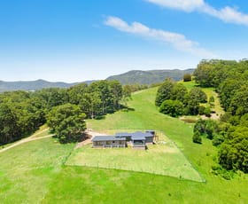 Rural / Farming commercial property sold at 355 Mill Lane Quorrobolong NSW 2325