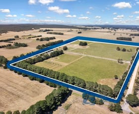 Rural / Farming commercial property sold at 400 Brisbane Ranges Road Mount Wallace VIC 3342