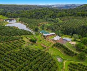 Rural / Farming commercial property sold at 578 Mountain Top Road Mountain Top NSW 2480