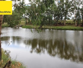 Rural / Farming commercial property sold at 631 Bonshaw Road Ashford NSW 2361