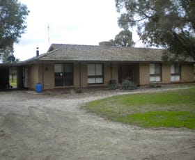 Rural / Farming commercial property sold at 145 Greens Road Cohuna VIC 3568
