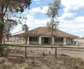 Rural / Farming commercial property for sale at 371 Cohuna Island Road Cohuna VIC 3568