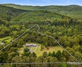 Rural / Farming commercial property sold at 3575 Yarra Junction-Noojee Road Piedmont VIC 3833