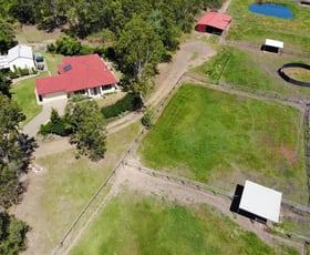 Rural / Farming commercial property sold at 224-246 Stephens Place Kooralbyn QLD 4285