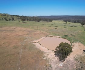 Rural / Farming commercial property for sale at 12704 GOLDEN HIGHWAY Uarbry NSW 2329