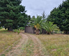 Rural / Farming commercial property sold at 91 Cemetery Road Corinella VIC 3984