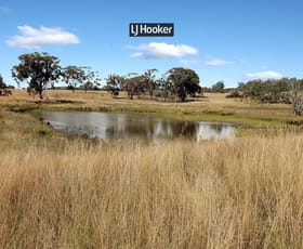 Rural / Farming commercial property sold at 402 Airlie Brake Lane Inverell NSW 2360