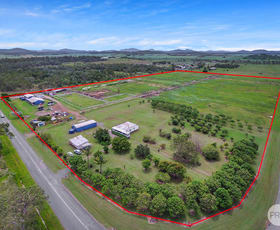 Rural / Farming commercial property sold at 160 Bells Road Palmyra QLD 4751