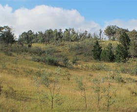 Rural / Farming commercial property sold at 2084 Campbells Creek Road Mudgee NSW 2850