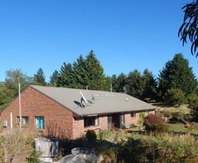 Rural / Farming commercial property sold at 983 Old Bega Road Nimmitabel NSW 2631