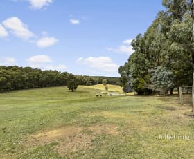 Rural / Farming commercial property sold at 198 Sharpes Lane Wheatsheaf VIC 3461