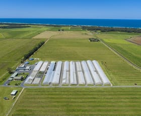 Rural / Farming commercial property for sale at Wardell NSW 2477