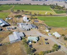 Rural / Farming commercial property sold at 9023 Mt Lindesay Highway Tamrookum QLD 4285