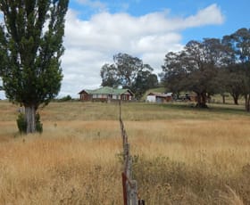 Rural / Farming commercial property sold at 761 Little Paupong Road Numbla Vale NSW 2628