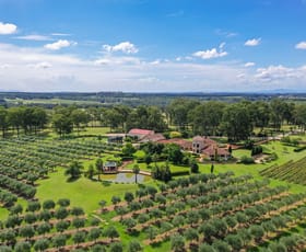 Rural / Farming commercial property sold at 259 De Beyers Road Pokolbin NSW 2320