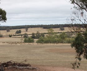 Rural / Farming commercial property sold at Lot 23 Comini Rd Dumberning WA 6312