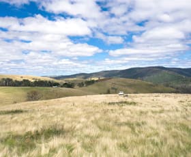 Rural / Farming commercial property sold at 4 Slippery Pinch Road Buchan VIC 3885