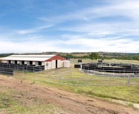 Rural / Farming commercial property sold at 458 Blakney Creek North Road Blakney Creek NSW 2581
