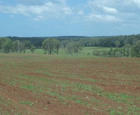 Rural / Farming commercial property sold at 73 WATERLOO HALL ROAD Waterloo QLD 4673