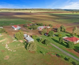 Rural / Farming commercial property sold at 1209 Oakey Pittsworth Road Aubigny QLD 4401