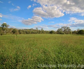 Rural / Farming commercial property sold at 363 Bazleys Road Monto QLD 4630