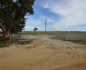 Rural / Farming commercial property sold at 65 9 Mile Road Moama NSW 2731