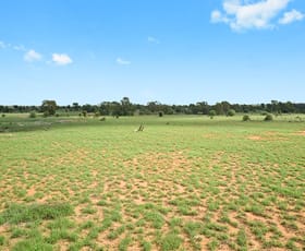 Rural / Farming commercial property sold at Glenmuir Middle Road St George QLD 4487