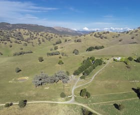 Rural / Farming commercial property sold at 367 Nimbo Road Tumut NSW 2720