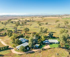 Rural / Farming commercial property sold at 5845 Canowindra Road (Toogong) Canowindra NSW 2804