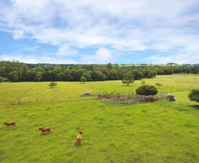 Rural / Farming commercial property sold at 162 Lake Barrine Rd Malanda QLD 4885