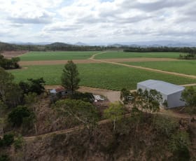 Rural / Farming commercial property for sale at Septimus QLD 4754