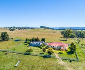 Rural / Farming commercial property sold at 2079 Kangaroo Flat Rd Walcha NSW 2354