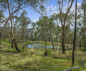 Rural / Farming commercial property sold at 9846 Murray River Rd Pine Mountain VIC 3709