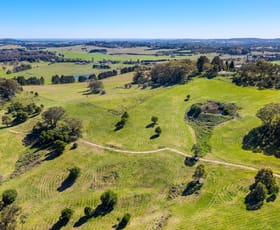 Rural / Farming commercial property sold at Mount Ashby Road Moss Vale NSW 2577