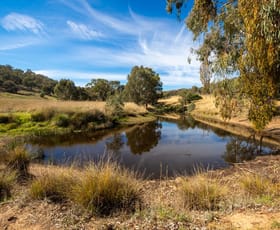 Rural / Farming commercial property sold at 20 Stoneleigh Lane Splitters Creek NSW 2640