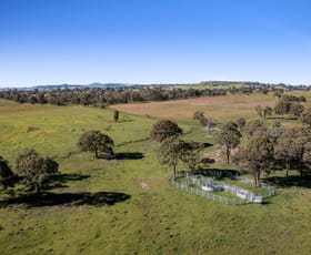 Rural / Farming commercial property sold at 230 ACRES, SCRUB SOIL GRAZING Peranga QLD 4352