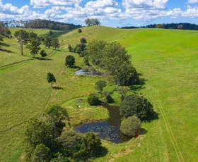 Rural / Farming commercial property sold at Wilsons Pocket QLD 4570